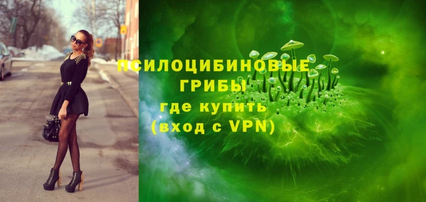 ешки Горнозаводск