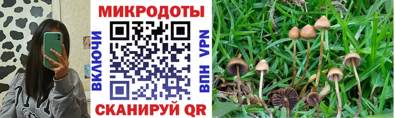 Галлюциногенные грибы мицелий  omg tor  Данков 